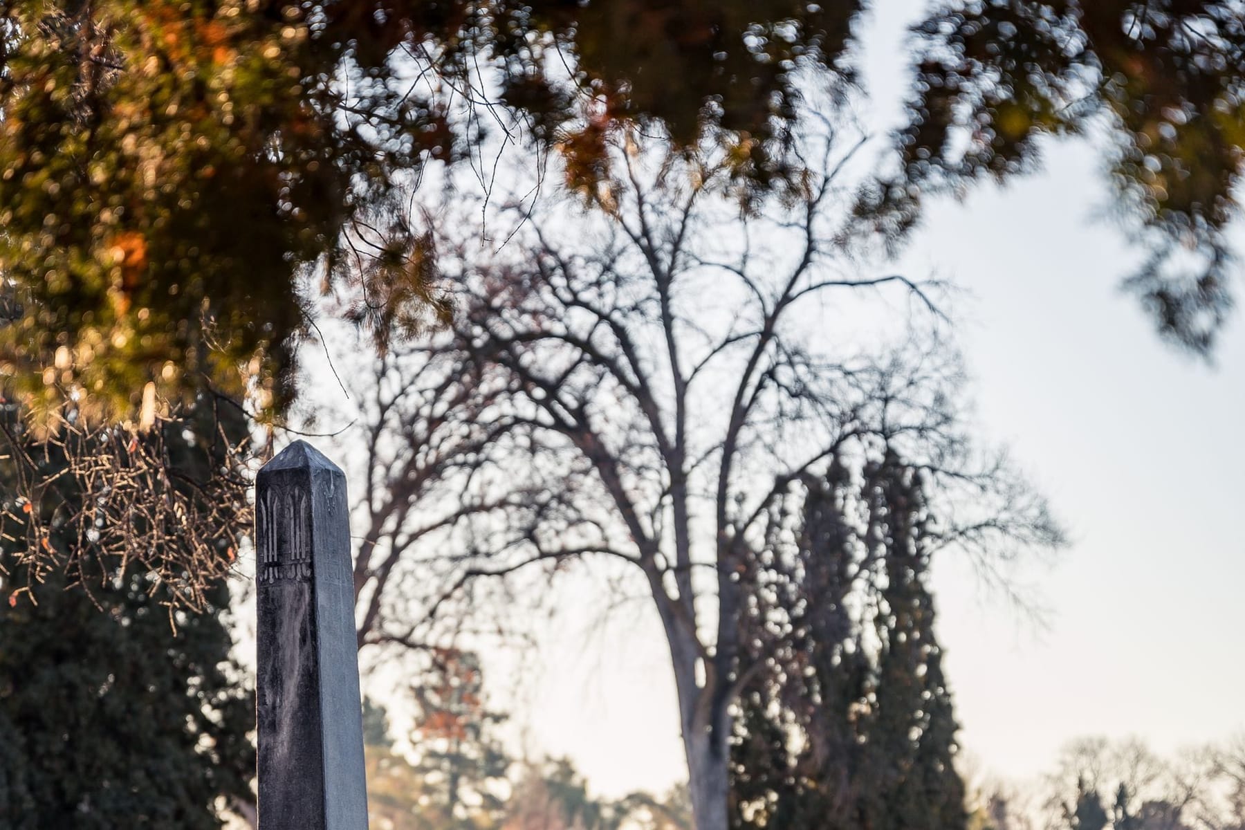 Cemetery Management System